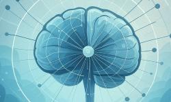 Featured image of post Analysis