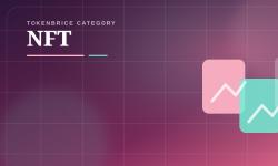 Featured image of post NFT