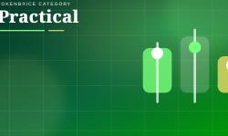 Featured image of post Practical