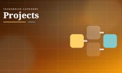 Featured image of post Projects