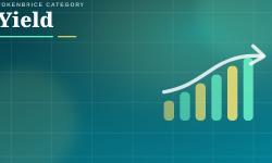 Featured image of post Yield